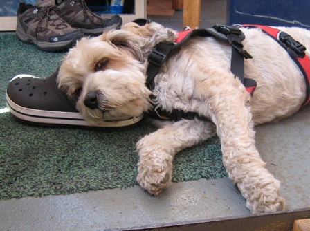 Tired Tilly